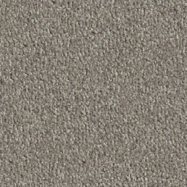 Vorwerk Teppichboden Conzano 5V31 graubraun – Teppichboden in warmem Graubraun mit natürlicher Eleganz, Meterware in 4 oder 5 m Breite, nur 53,91 €